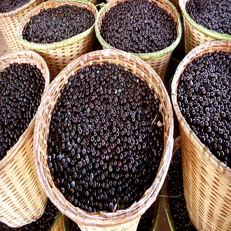 Açaí