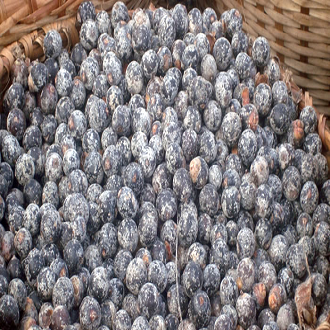 Bacaba