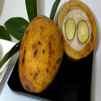 Bacuri