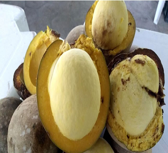 Piquiá