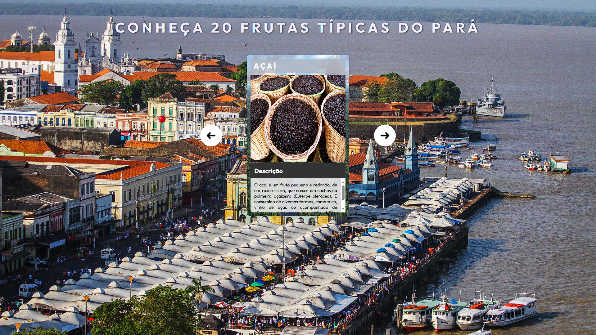 Projeto Frutas Típicas do Estado do Pará
